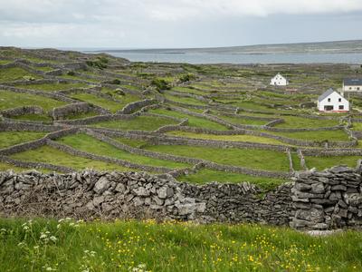 Inisheer