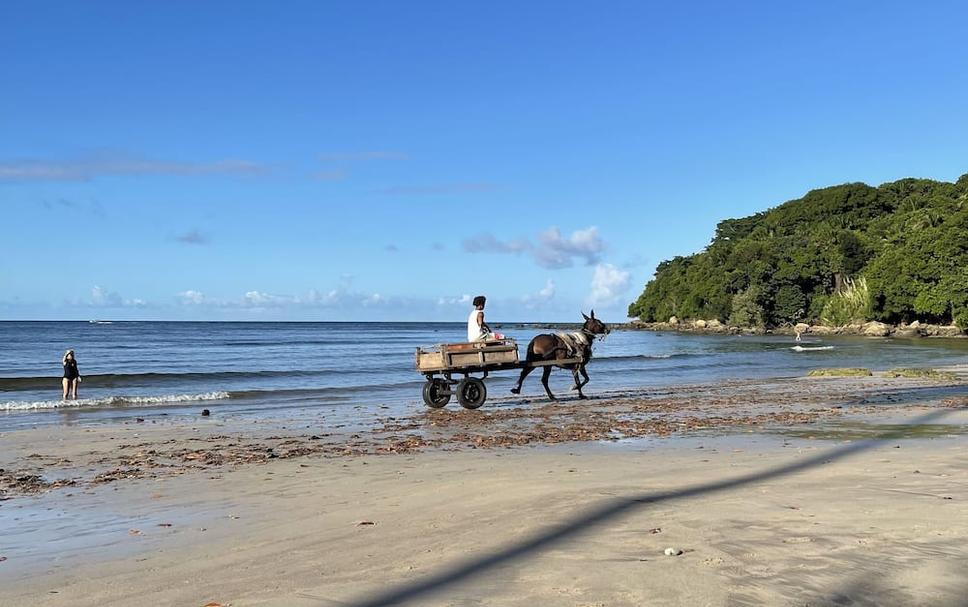 Beach Photo